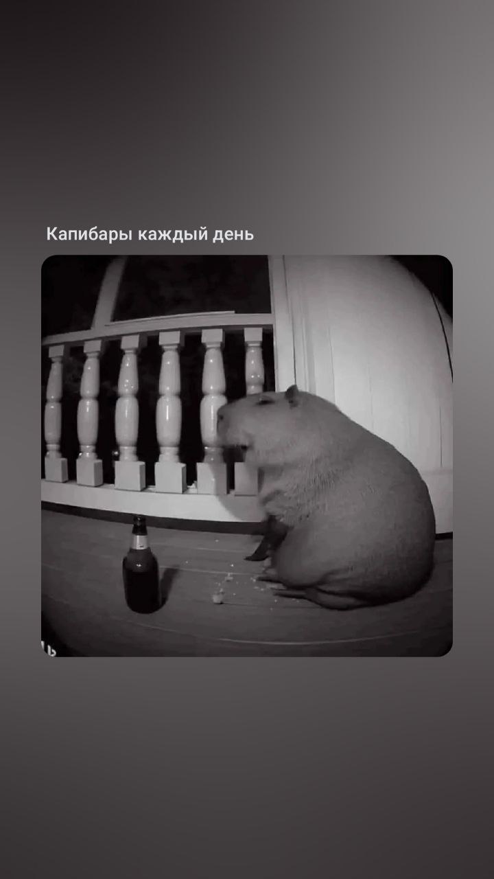 gilpol, 18 лет, Петергоф