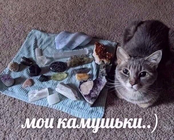 zueqoo, 18 лет, Самара
