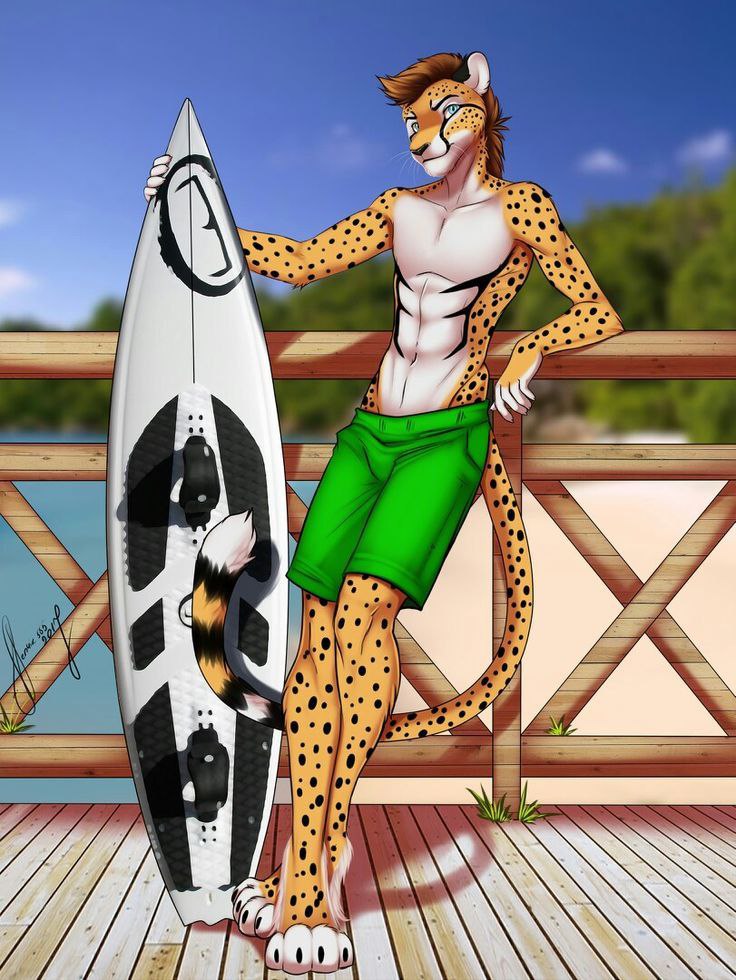 KirrikCheetah, 18 лет, Петрозаводск