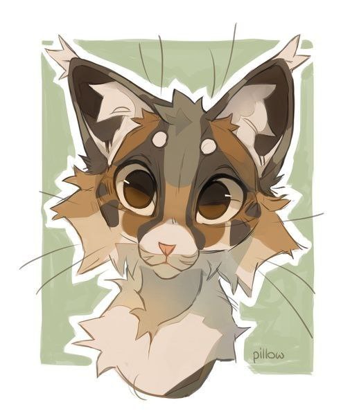 cutecate5, 18 лет, Санкт-Петербург
