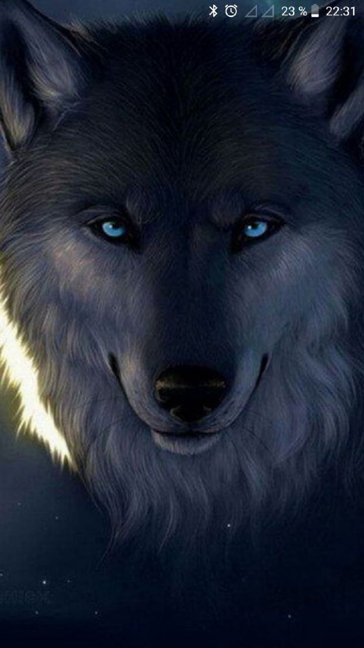 ZooWolf, 18 лет, Санкт-Петербург