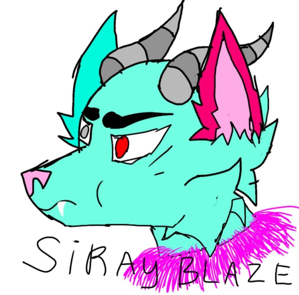 SirayBlaze, 18 лет, Барнаул