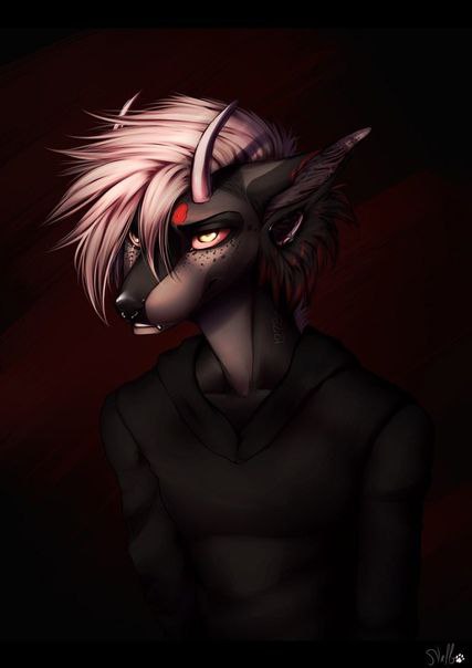 DarkAngelfox666, 18 лет, Великий Новгород