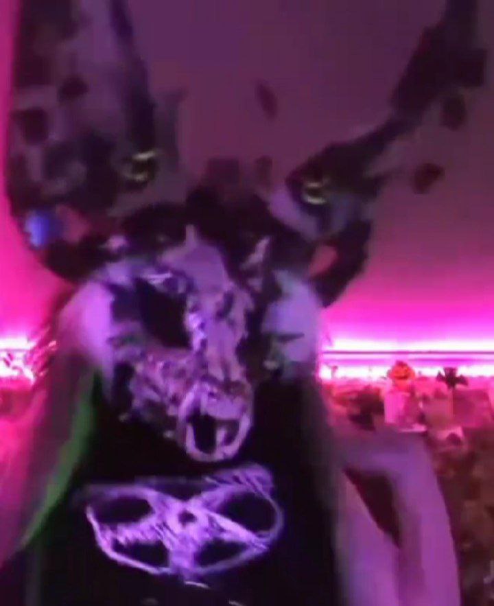 Psychedelicgirl1488, 18 лет, Новосибирск