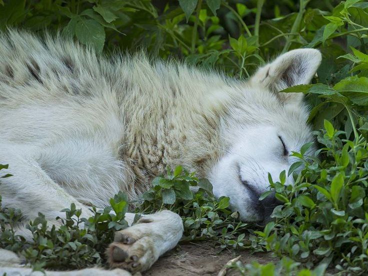 Yuchirochi, 18 лет, Башкортостан