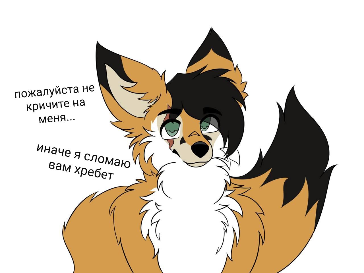 XABATbowo, 18 лет, Нижний Новгород