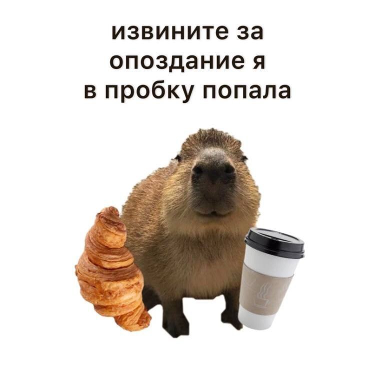 difurr, 18 лет, Новосибирск