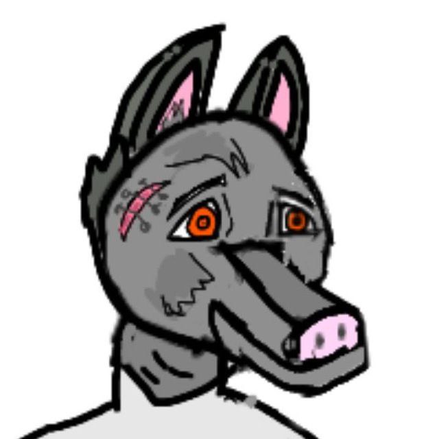 FurryWolfyk, 18 лет, Майкоп