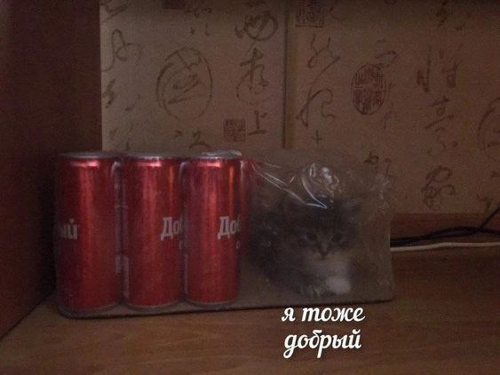 Mymymym21, 18 лет, Калининград
