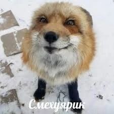 uhhh_kislinka, 18 лет, Челябинский городской округ