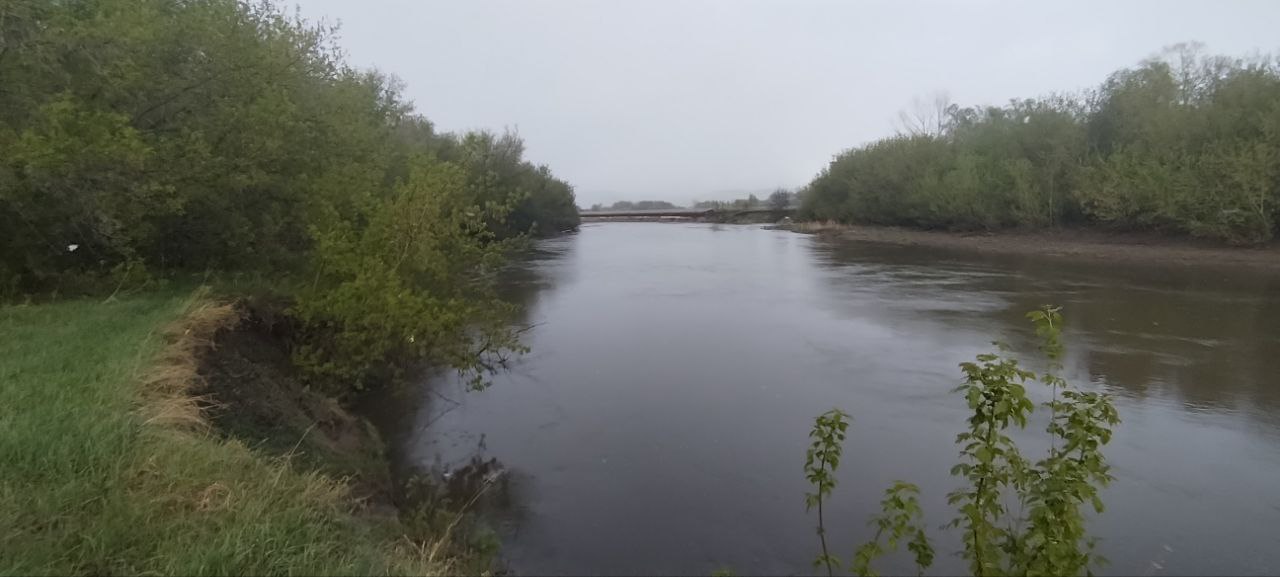 TheBletFishOffishial, 18 лет, Нижневартовск