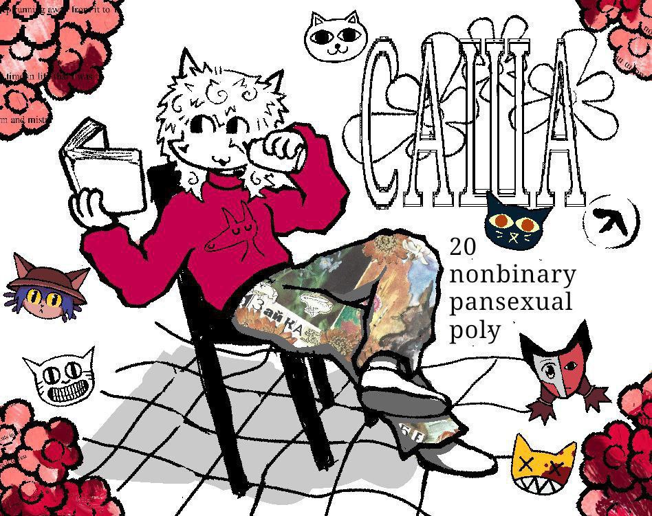 TrishaCatss, 20 лет, Санкт-Петербург