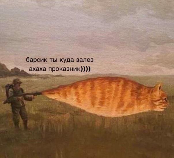 NANOROO, 17 лет, Нижний Новгород