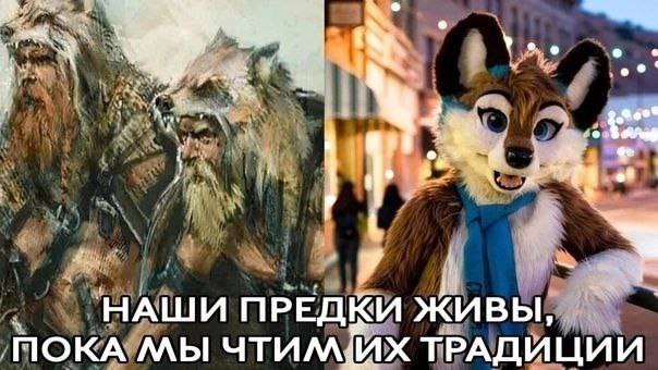 Raccon777, 18 лет, Санкт-Петербург