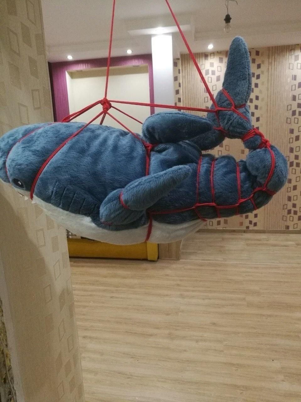 microdesu, 18 лет, Москва