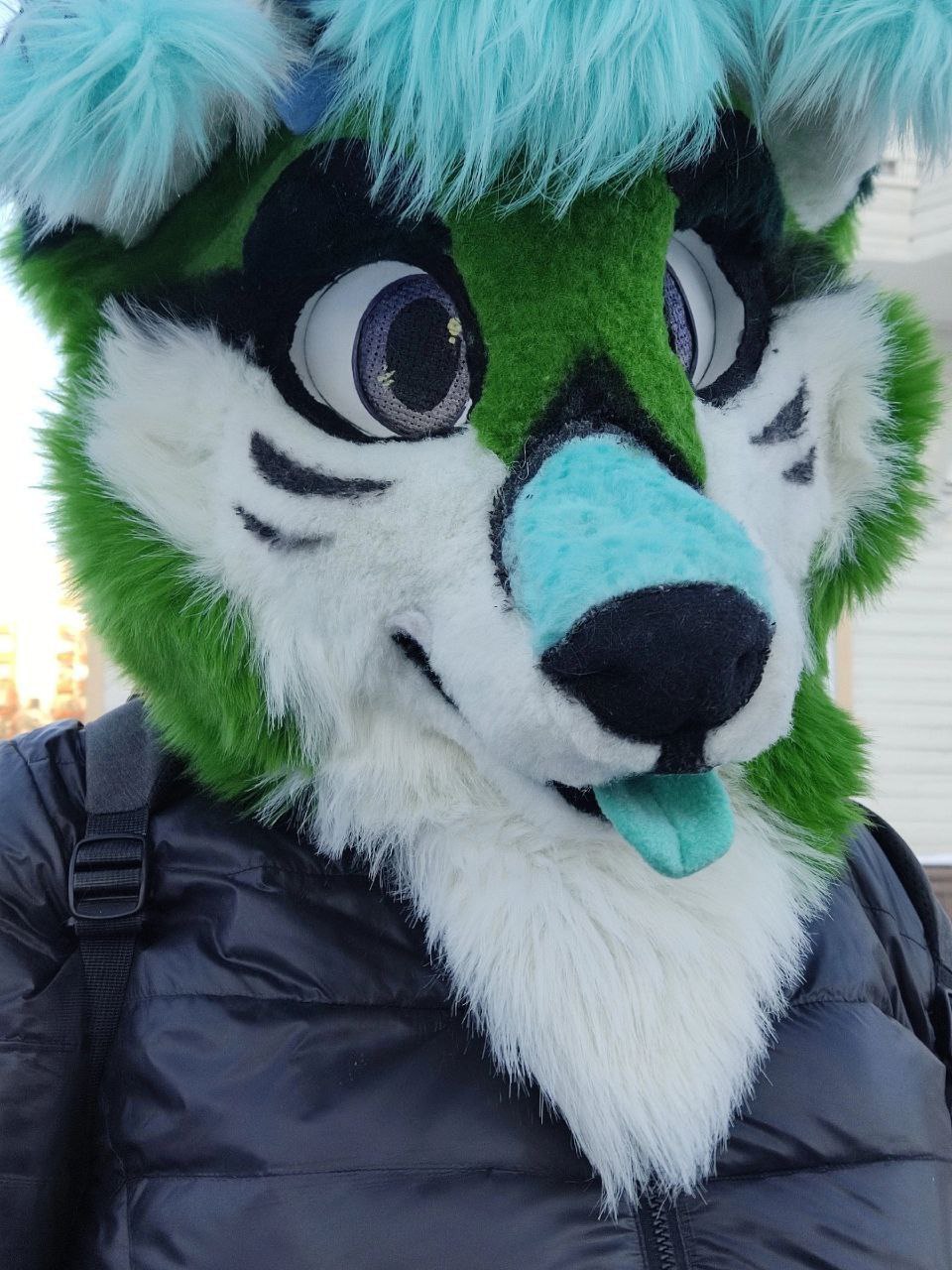 FURRY29RUS, 18 лет, Архангельск