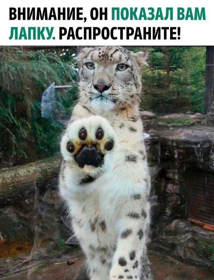 Сергей, 17 лет, РостовнаДону