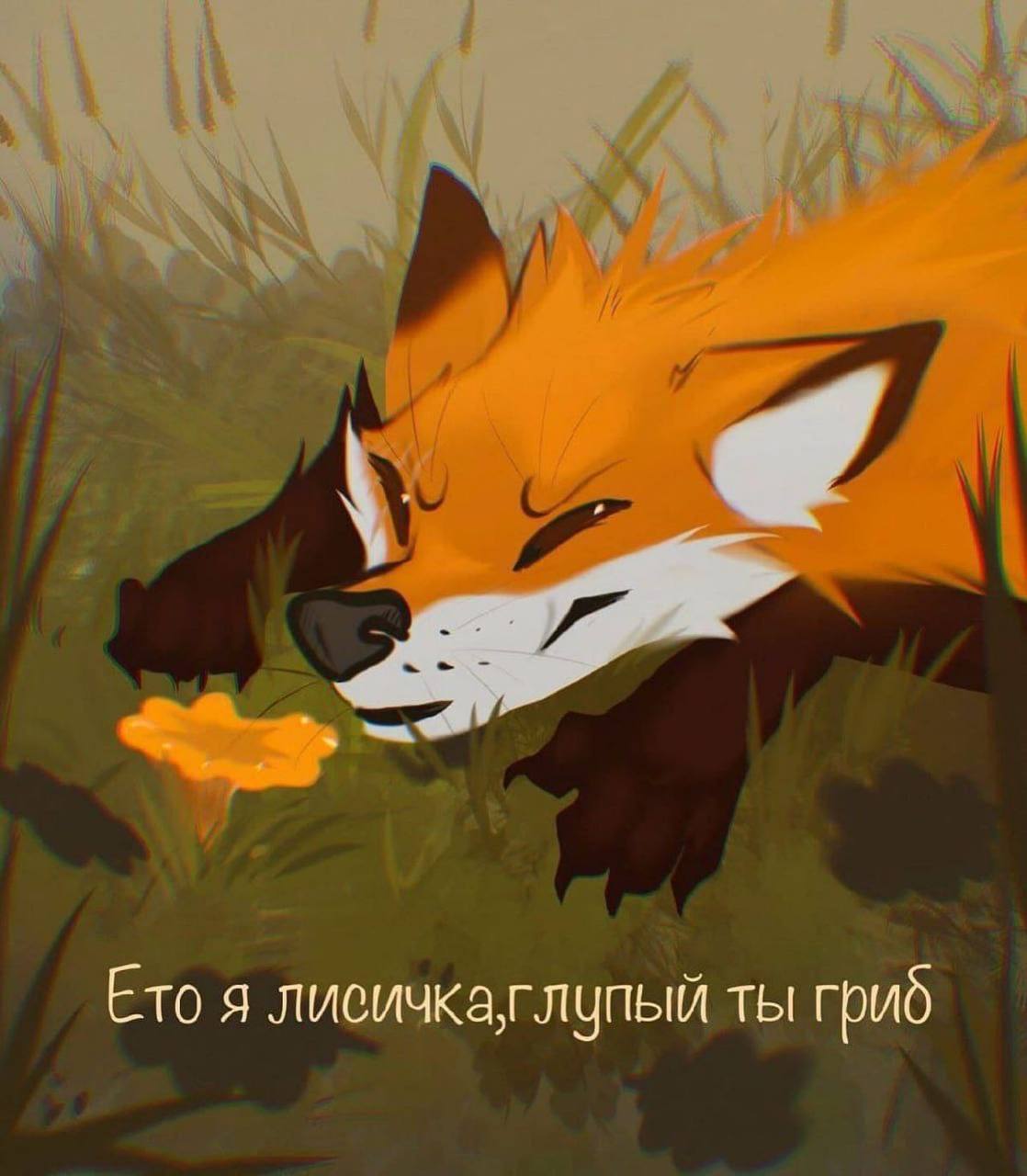 CVKBEAR, 18 лет, Киров