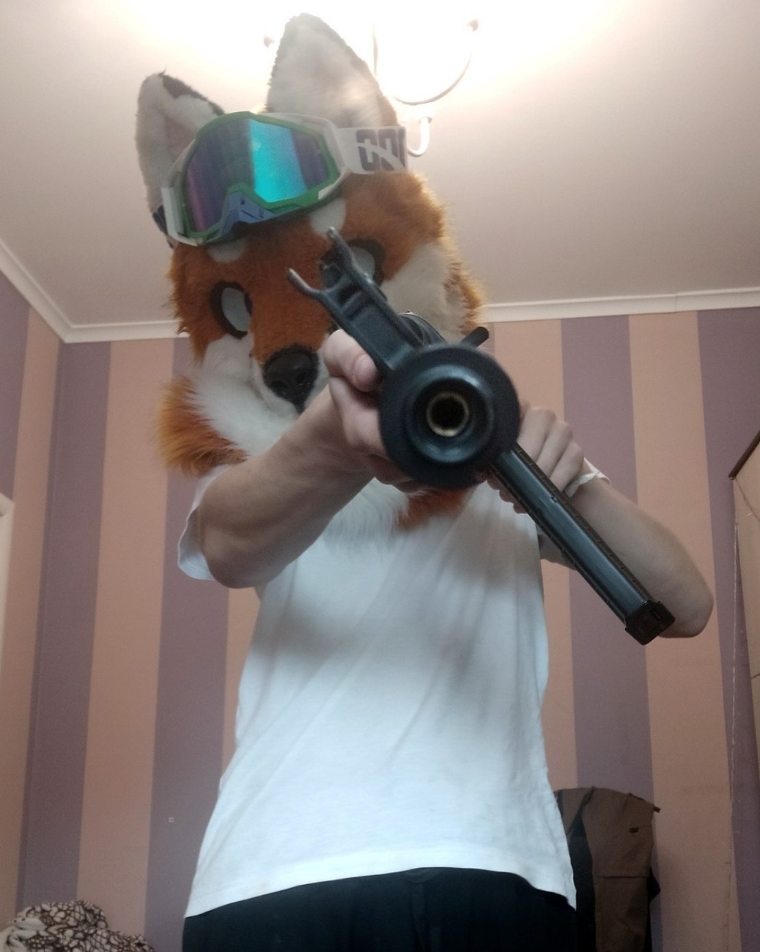 furry_lisik, 18 лет, Рыбинск