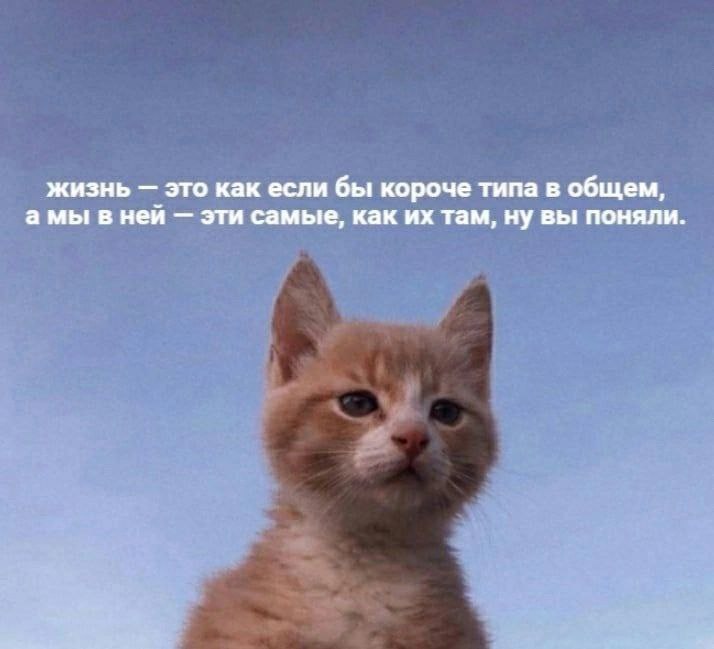 Найт, 24 лет, Москва