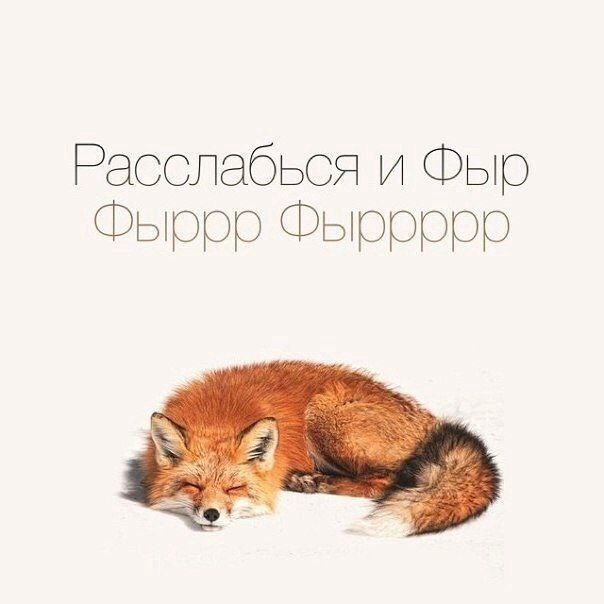 LittlefoxyPrrr, 19 лет, Пермь
