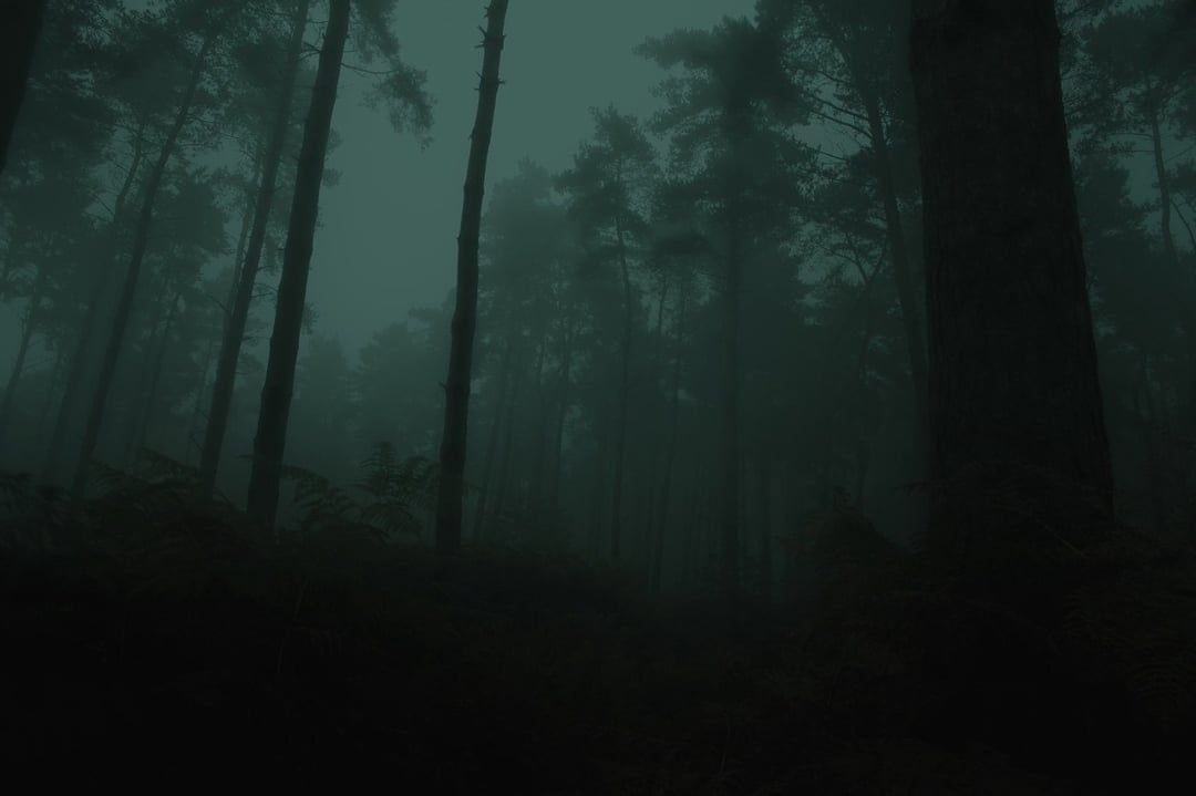 ex_exist, 21 лет, Санкт-Петербург
