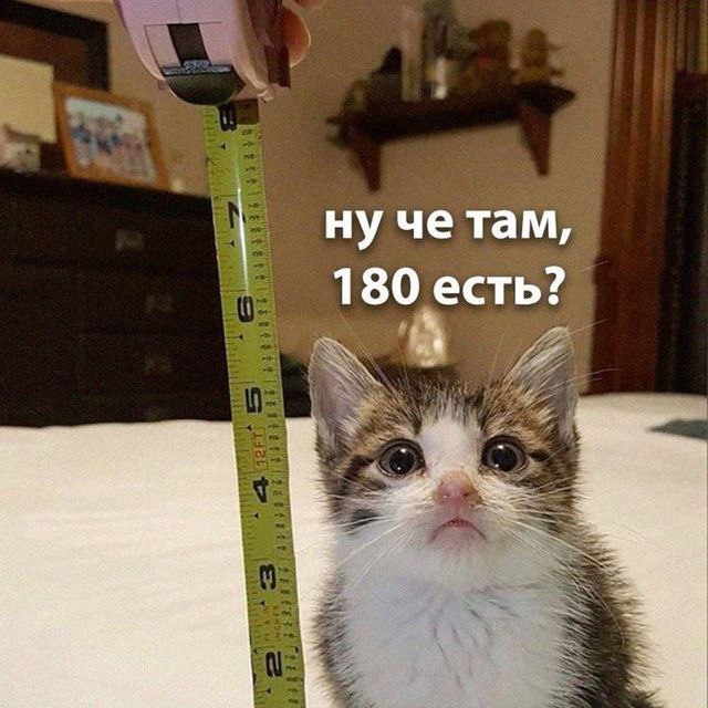 murlock_game, 18 лет, Белгород