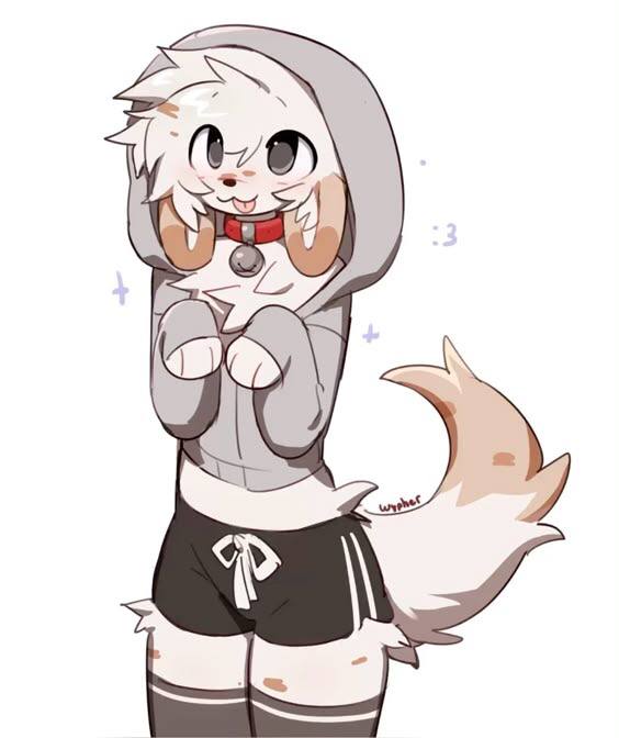 elliotmybelovedfurry, 18 лет, Иваново