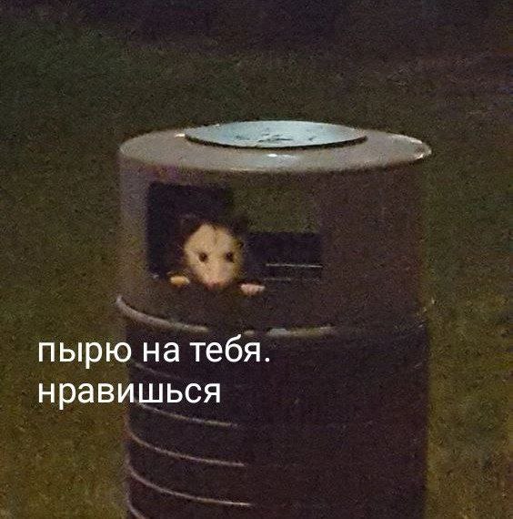 Финн, 21 лет, Москва