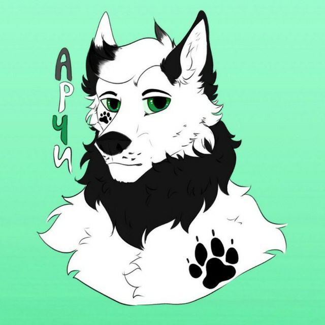Fluffy_Archie, 19 лет, Хабаровск