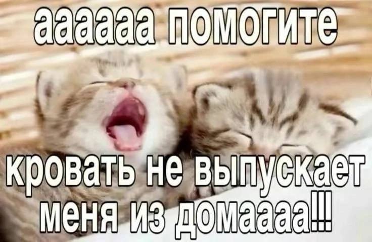 kaisergtr, 18 лет, Московская область