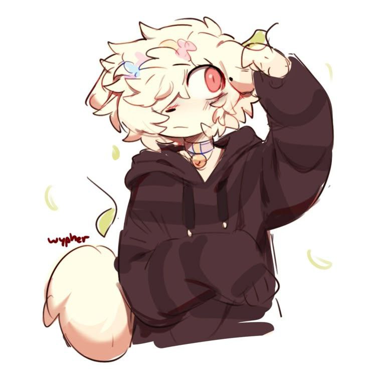 FemboyHunterX, 16 лет, Солнечногорск
