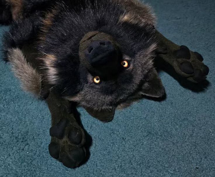 Mr_Bark_Bark, 17 лет, Белгород