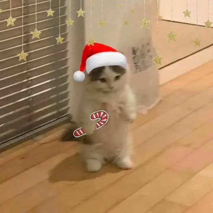 PiKa_PuK, 20 лет, Москва