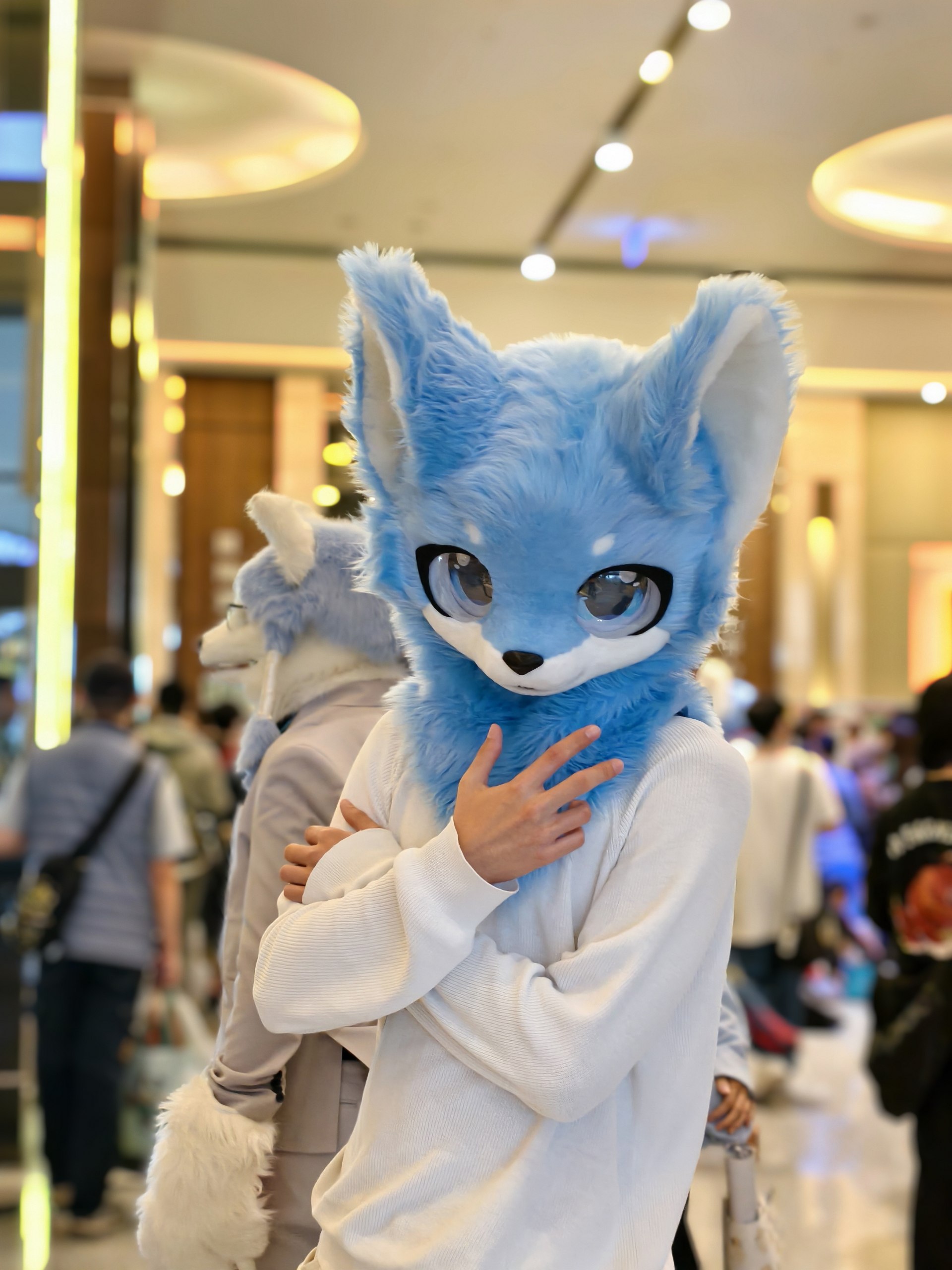 rukaimeow, 18 лет, Владивосток