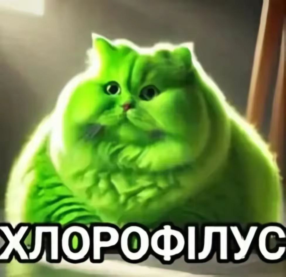 Zin_OwQ, 18 лет, Омск