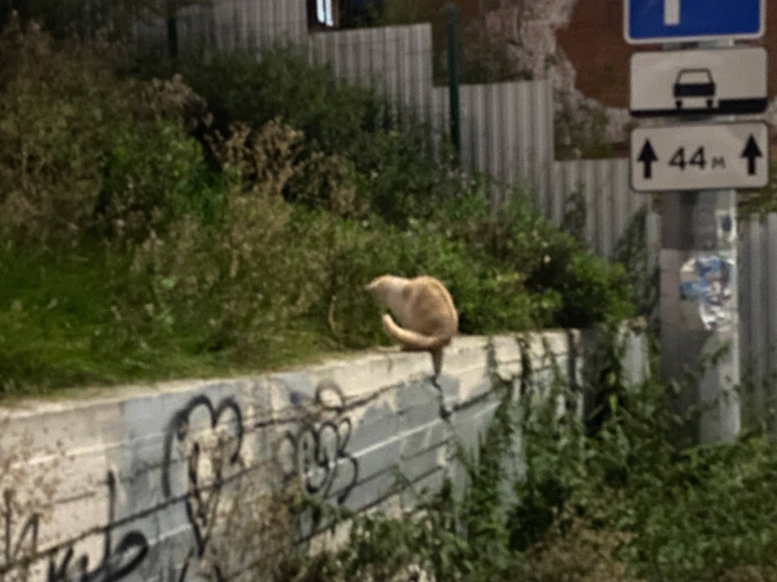 vcekj, 18 лет, Нижний Новгород