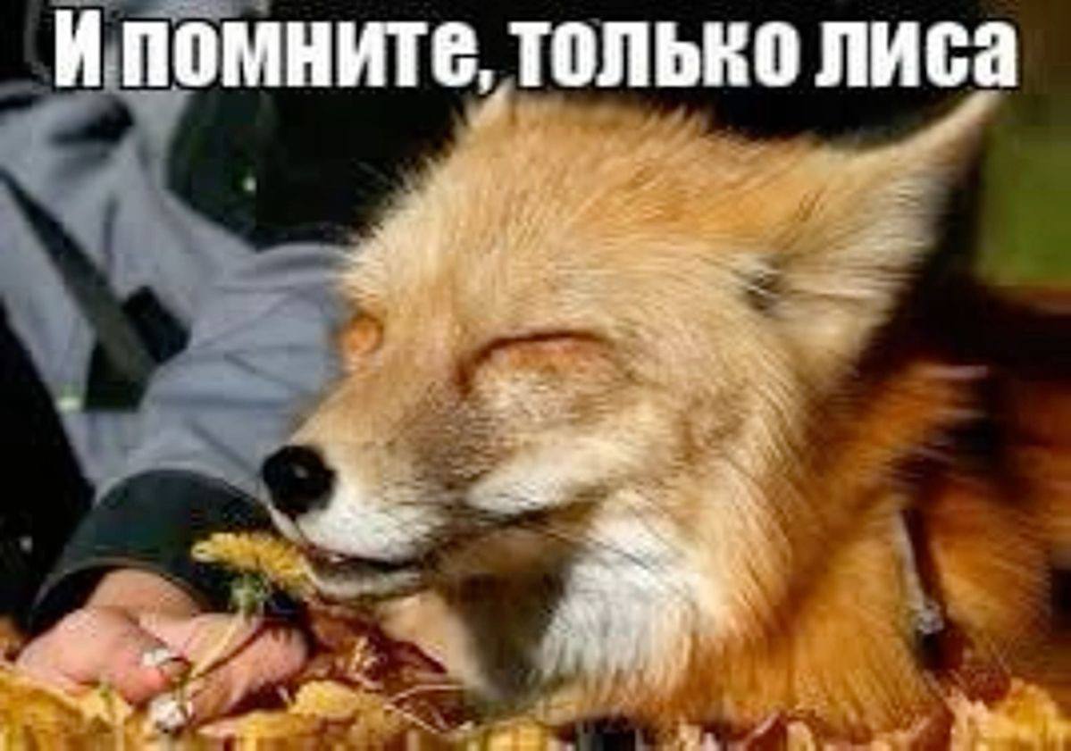 Willrief, 19 лет, Калуга