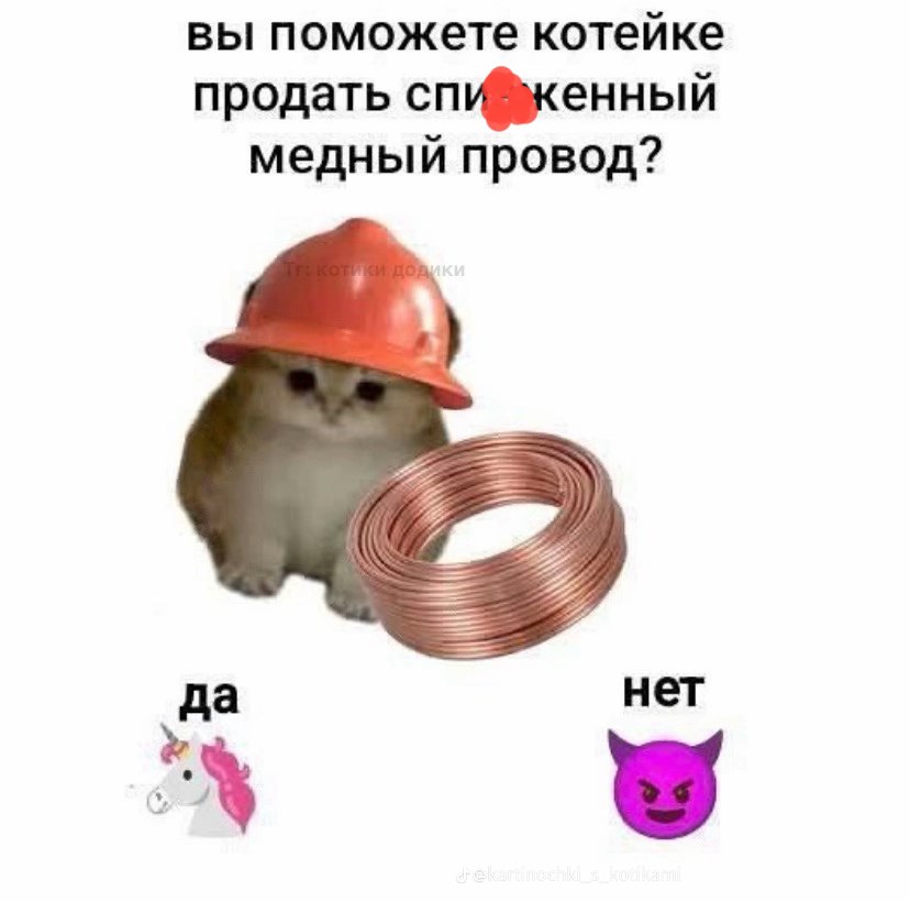 HorsesDAR, 18 лет, Москва
