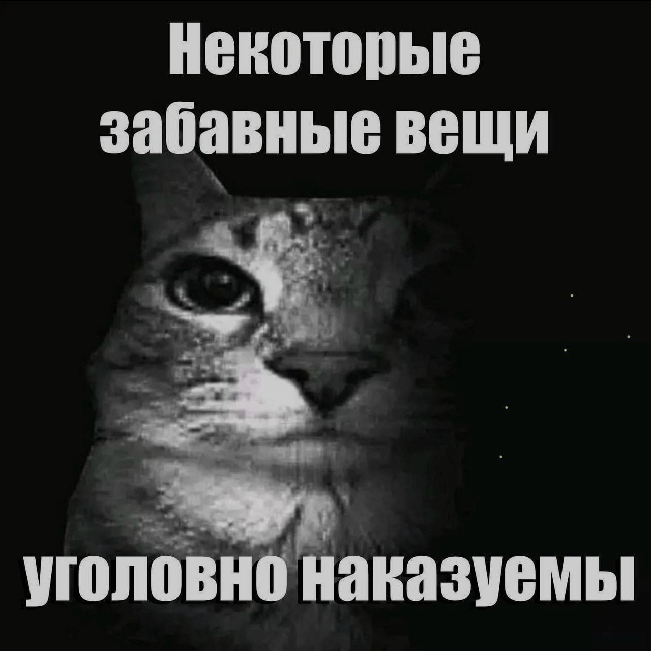 Chertilonok, 16 лет, Архангельск