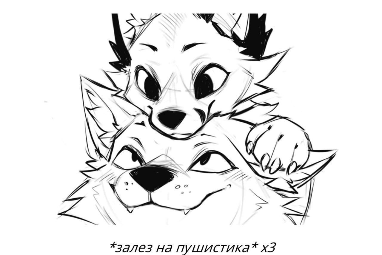 lisyaka6, 18 лет, Москва