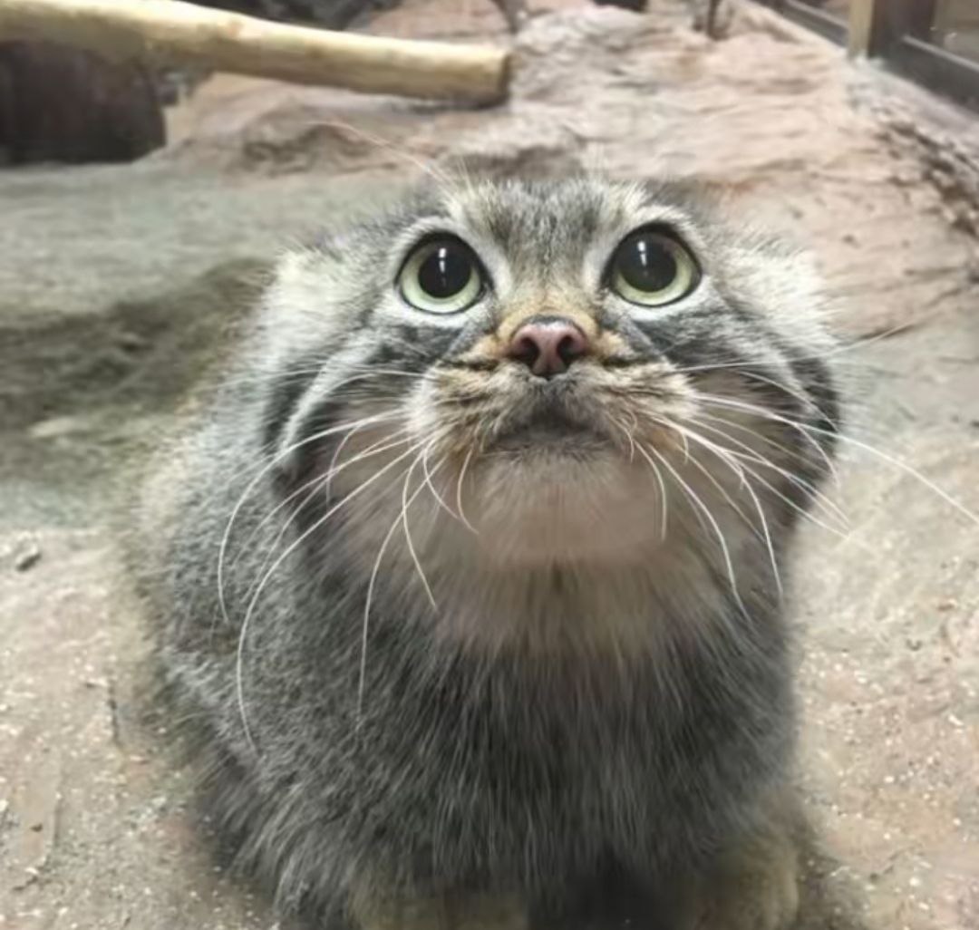 Otto, 17 лет, Санкт-Петербург