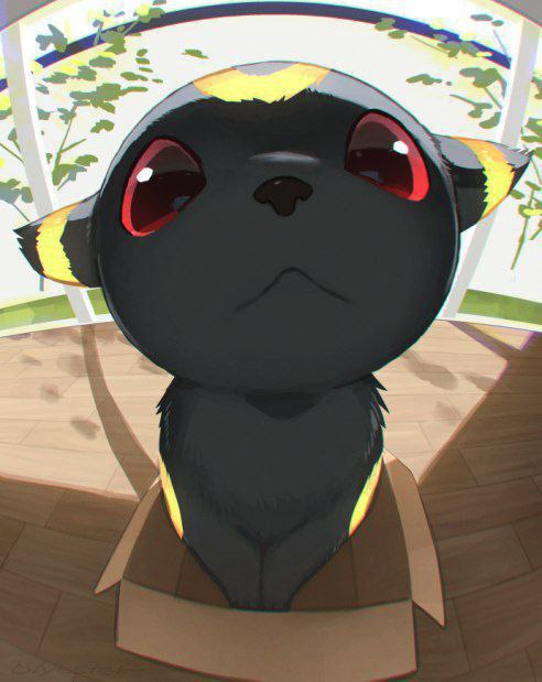 Umbreon, 21 лет, Москва