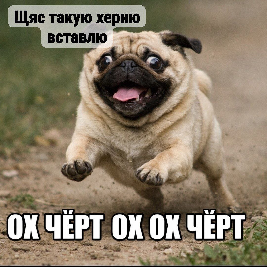 fare_fara69, 17 лет, Алитусский уезд