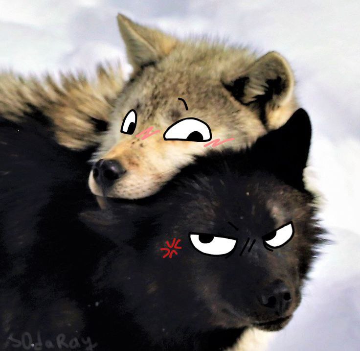 Meowwyside, 16 лет, Тульская область