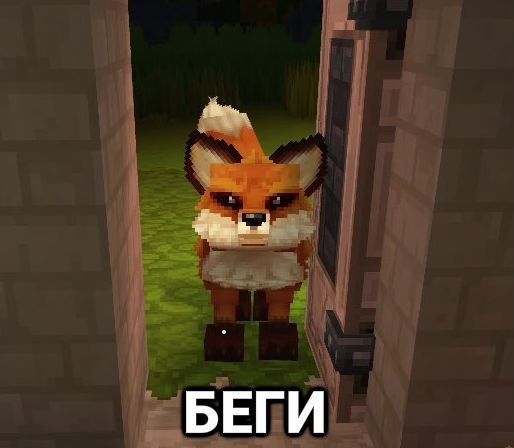 wanderer_fox, 18 лет, Иркутская область