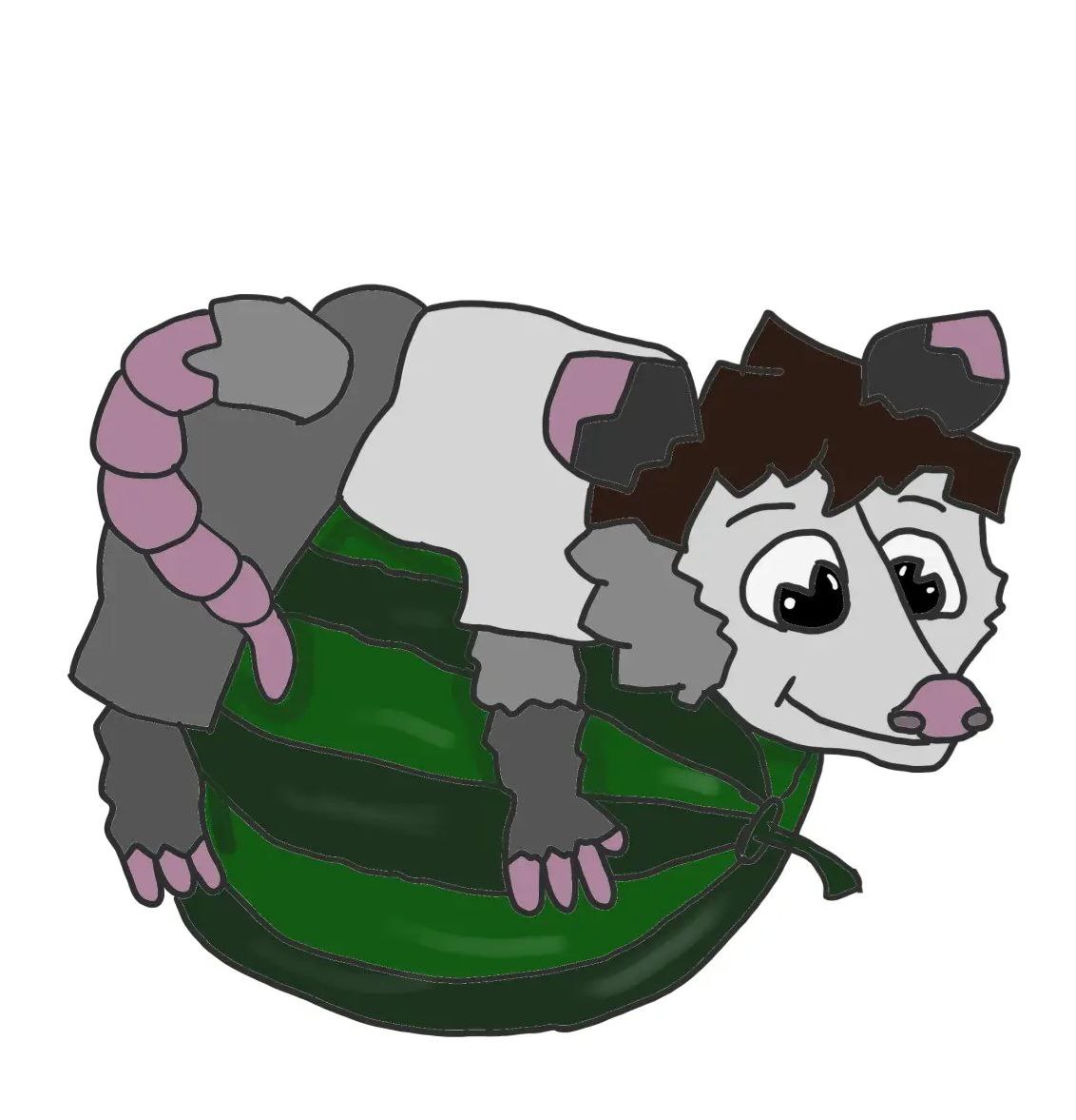 Wild_opossum, 17 лет, Белгородская область