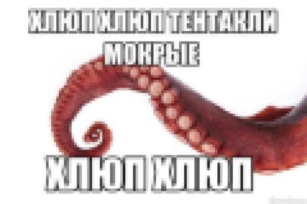 reiterAug_of, 18 лет, Санкт-Петербург