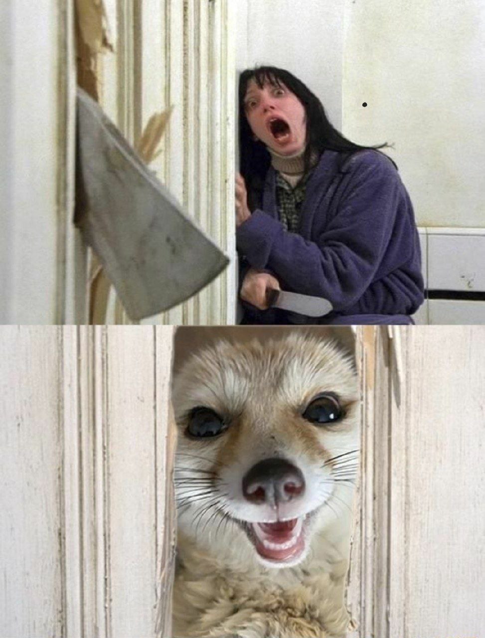 murphythefox, 18 лет, Республика Саха (Якутия)