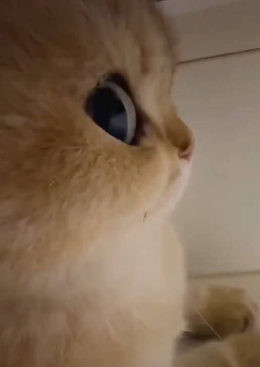 Clopdd, 18 лет, Нижний Новгород